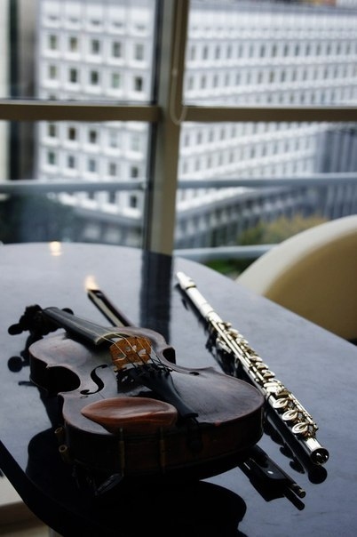 Скрипка и флейта