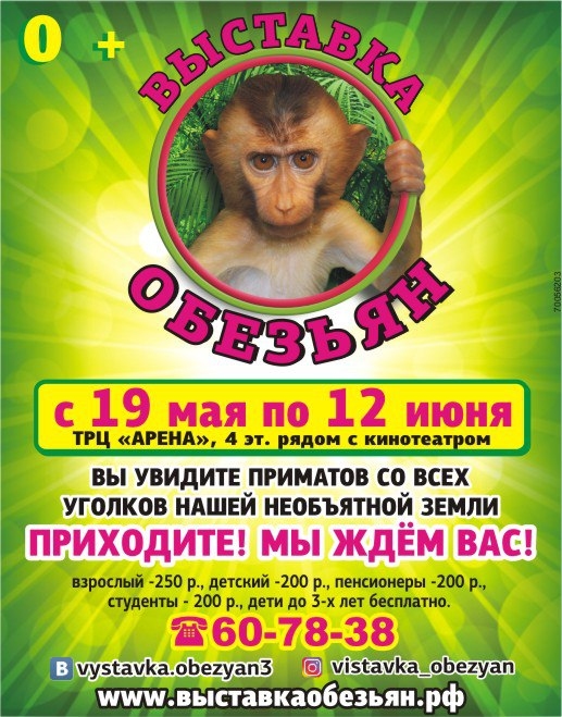 Выставка обезьян