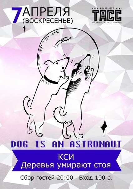 Dog is an astronaut