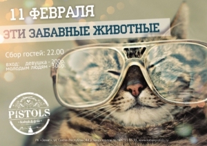 Эти забавные животные