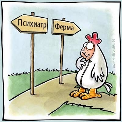Сценарий моей жизни