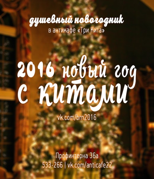 Новогодник в Китах