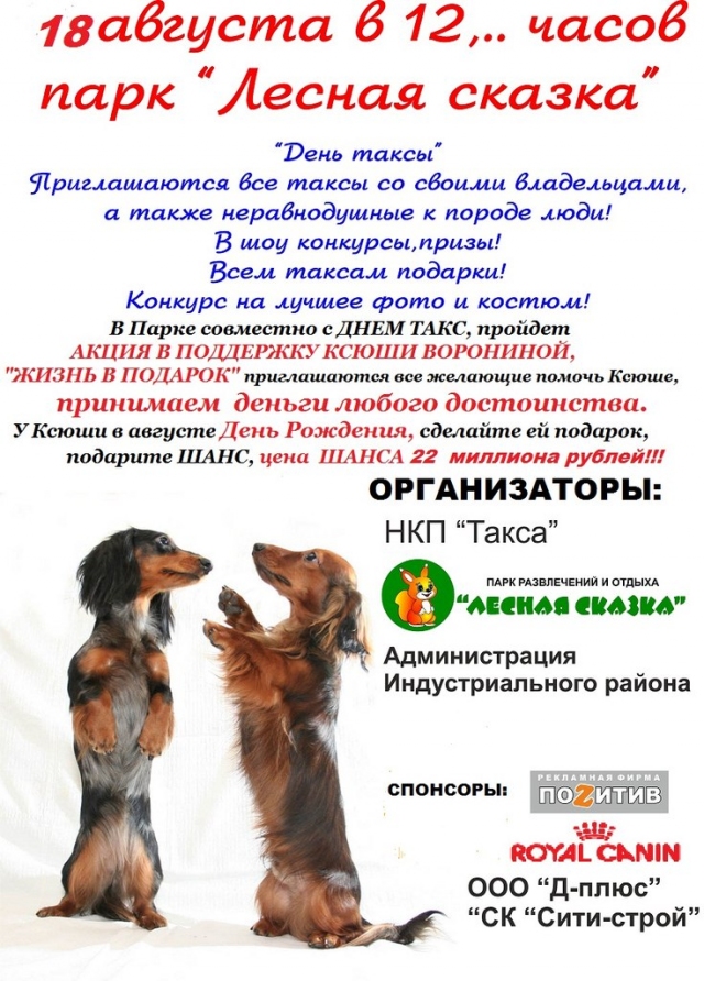 День Таксы