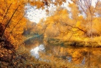Уборка р. Пивоварка