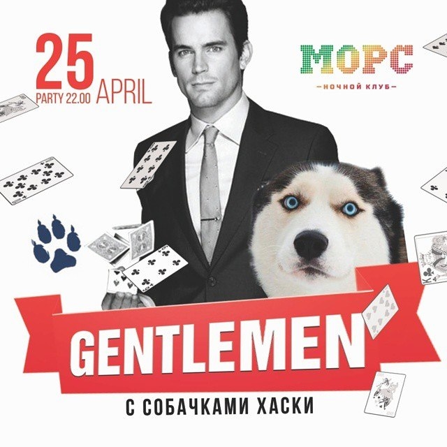 Gentlemen с собачками хаски