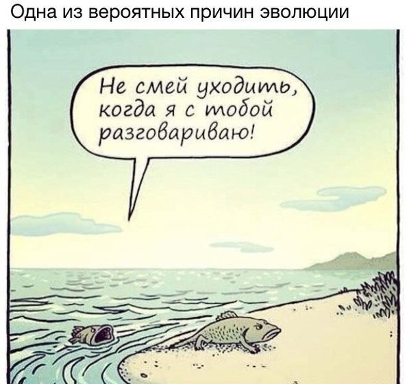 Конфликты в паре
