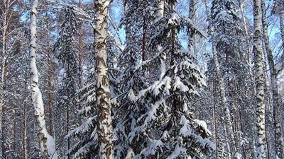 Глоток свежего воздуха
