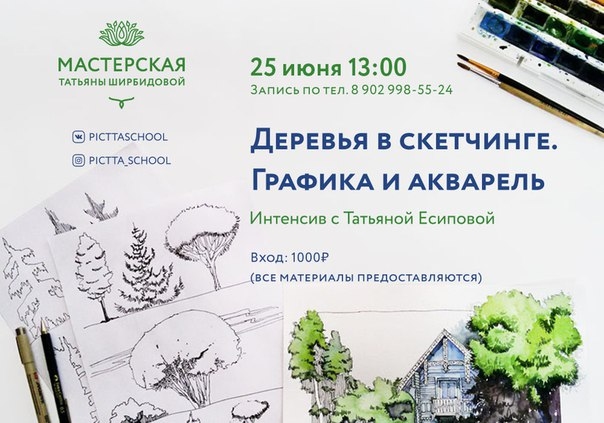 Деревья в скетчинге. Графика и акварель