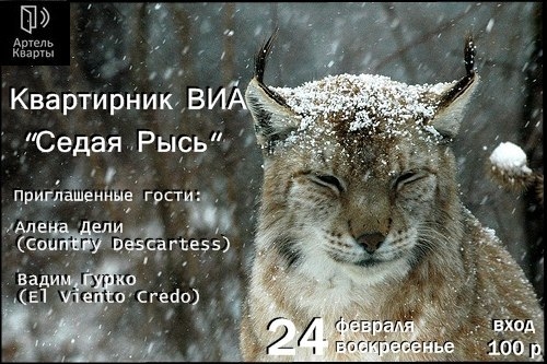 Седая Рысь