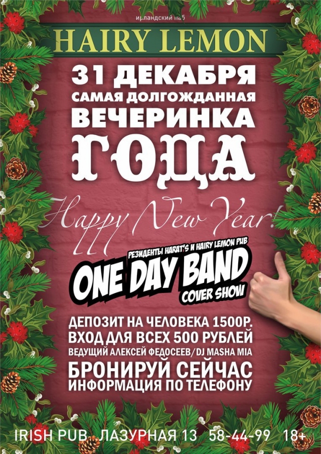 Новый год в «Hairy Lemon Pub»