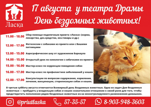 Международный День бездомных животных